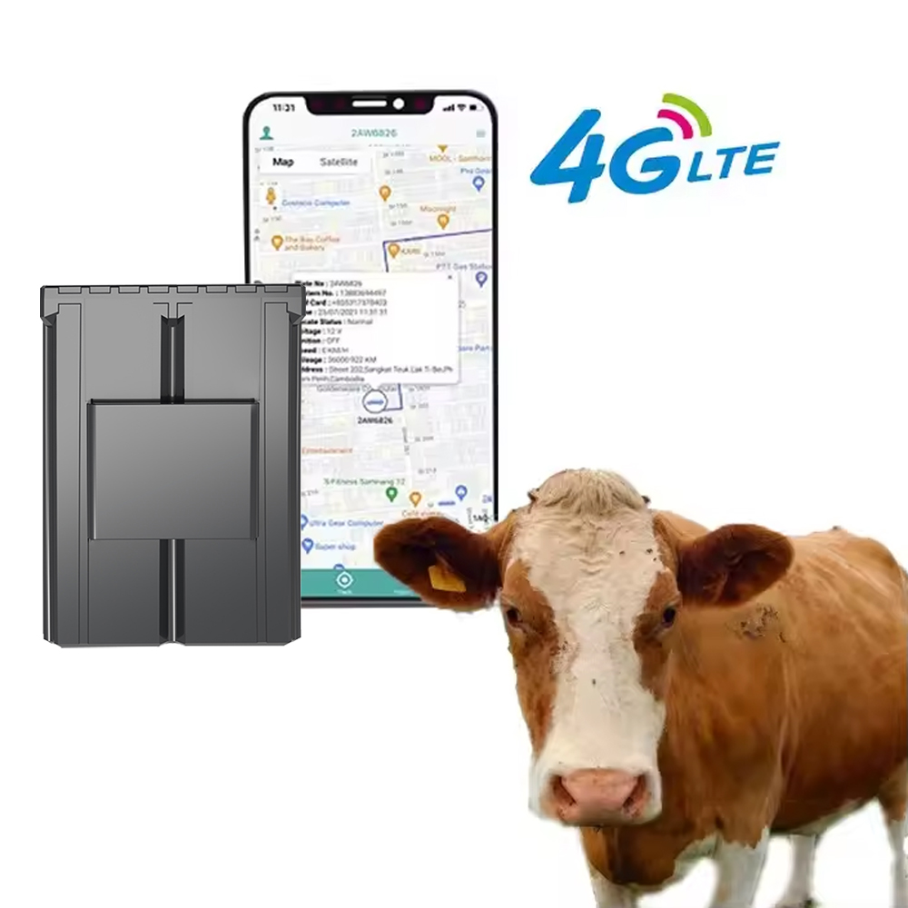 Animal Gps Tracker 4G Solar - Пользовательские ушные бирки GPS-трекеры для крупного