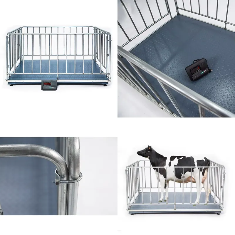 Cattle Weighing Scale Digital - Цифровые платформенные весы SFW с сертификатом,