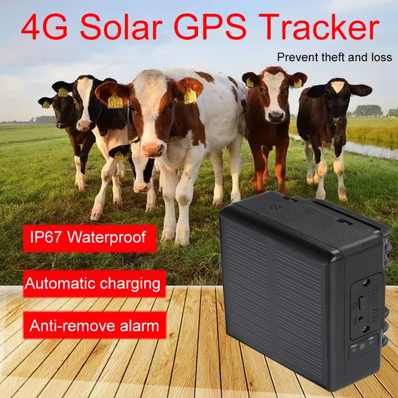 RF-V26 2G Солнечный GPS-трекер – обзор и цена Animal Gps Tracker 4G Solar