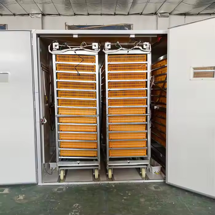 Инкубатор, автоматическая маши – обзор и цена Poultry Incubator 96 Eggs