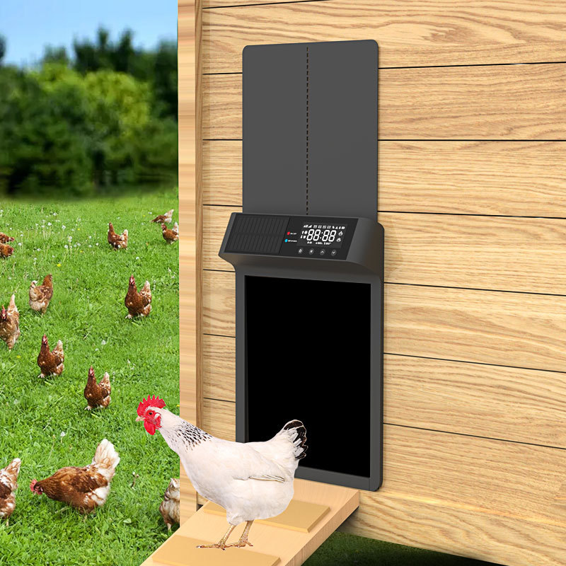 Автоматический открыватель вор – обзор и цена Automatic Chicken Door Opener Solar