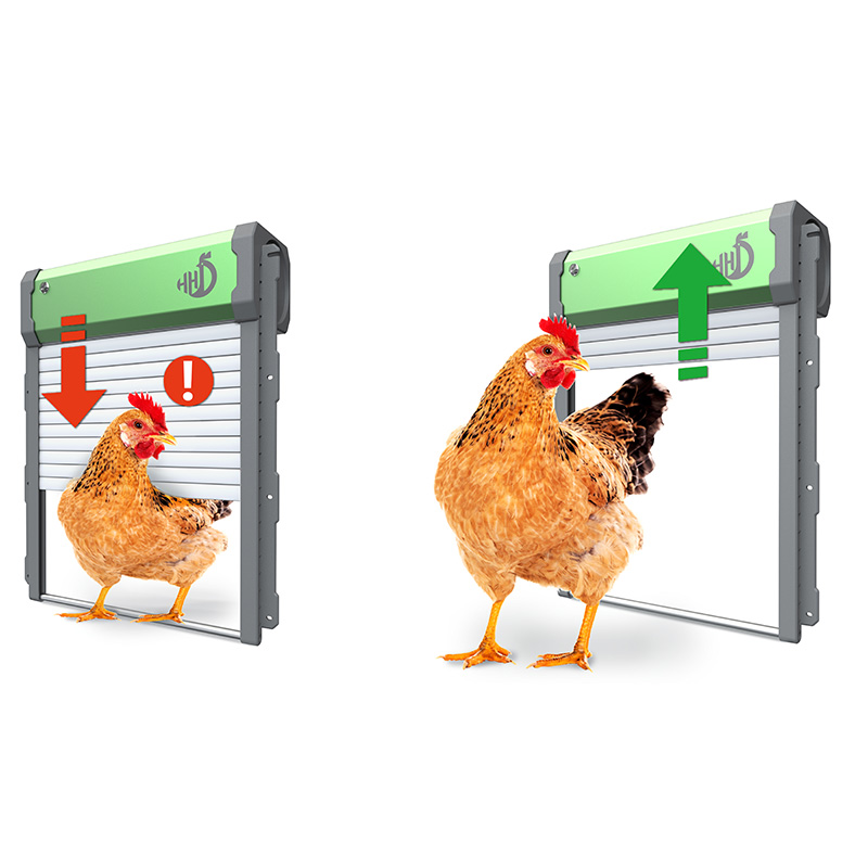Автоматический открыватель две – обзор и цена Automatic Chicken Door Opener Solar