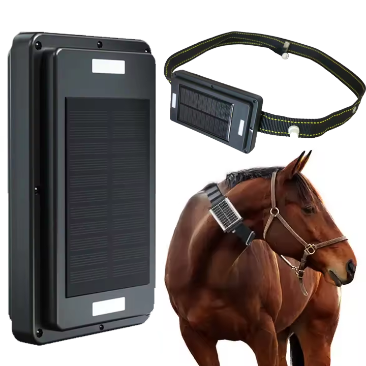 GPS-трекер с солнечной панелью – обзор и цена Animal Gps Tracker 4G Solar