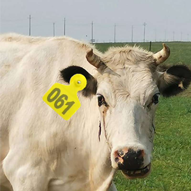 Пластиковая идентификационная  – обзор и цена Cattle Ear Tag Applicator