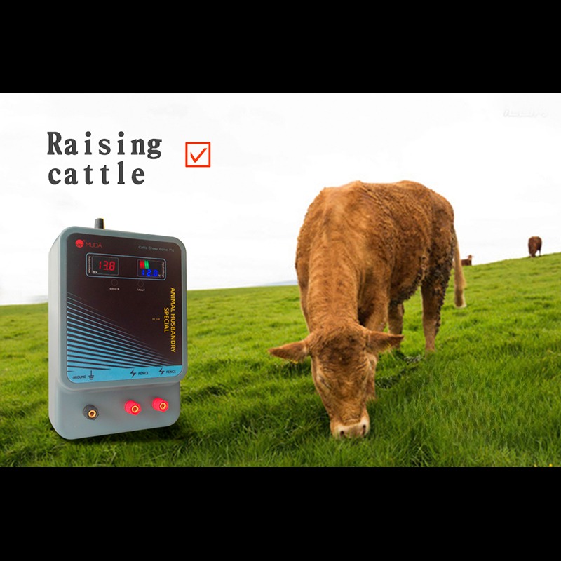 Зарядное устройство для электр – обзор и цена Livestock Fence Energizer 12V