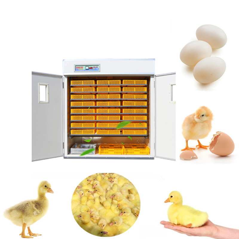 Автоматический инкубатор для я – обзор и цена Poultry Incubator 96 Eggs