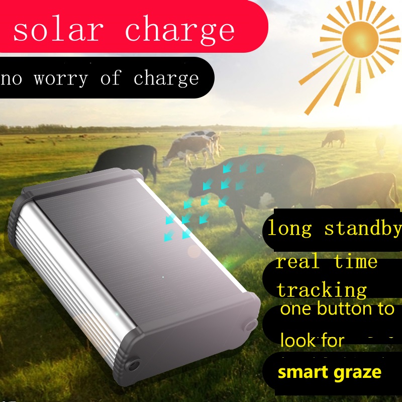 4G GPS трекер, большая батарея – обзор и цена Animal Gps Tracker 4G Solar