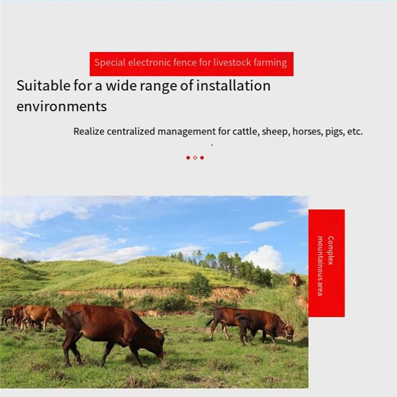 Контроллер ABZC-Energizer для  – обзор и цена Livestock Fence Energizer 12V