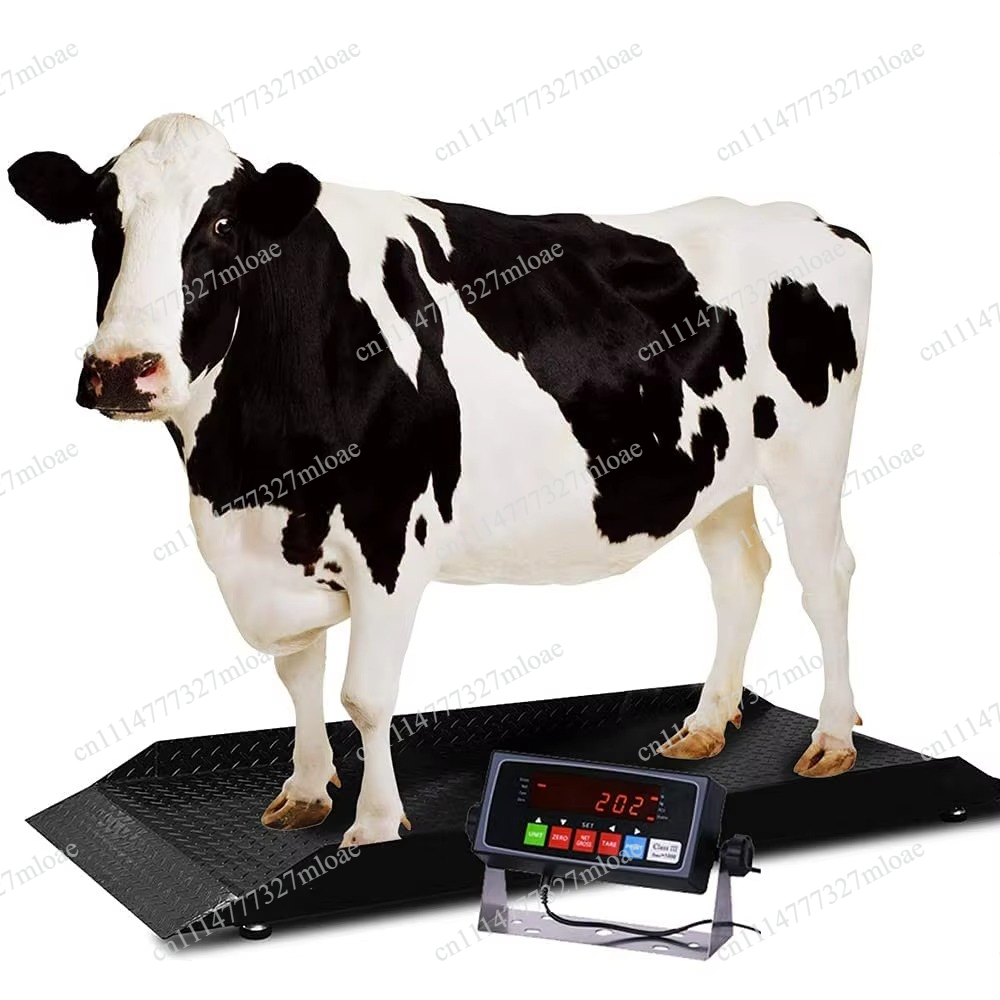 Высококачественные цифровые ве – обзор и цена Cattle Weighing Scale Digital