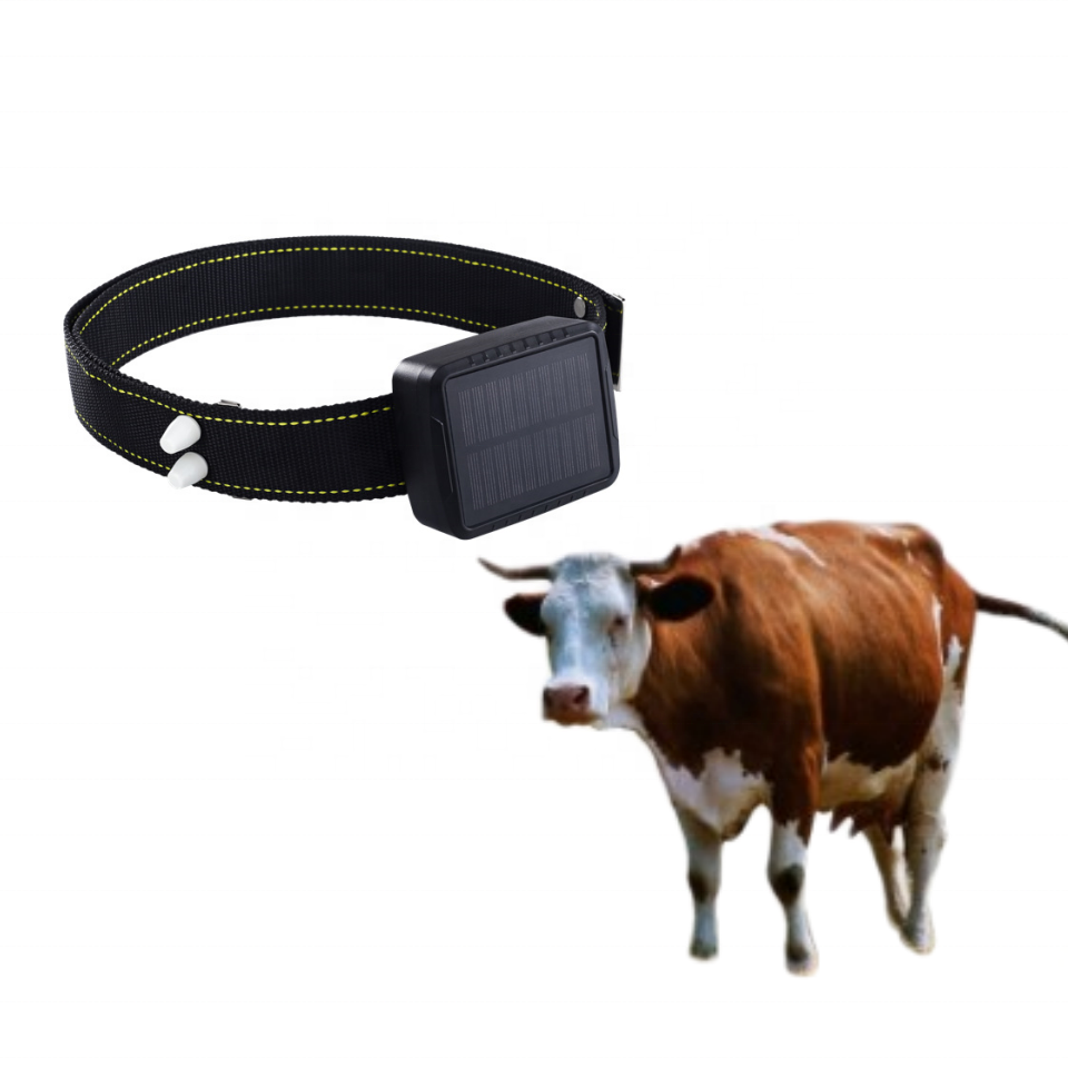 2025 Трекер для животных 4G, о – обзор и цена Gps Tracker Cattle Collar