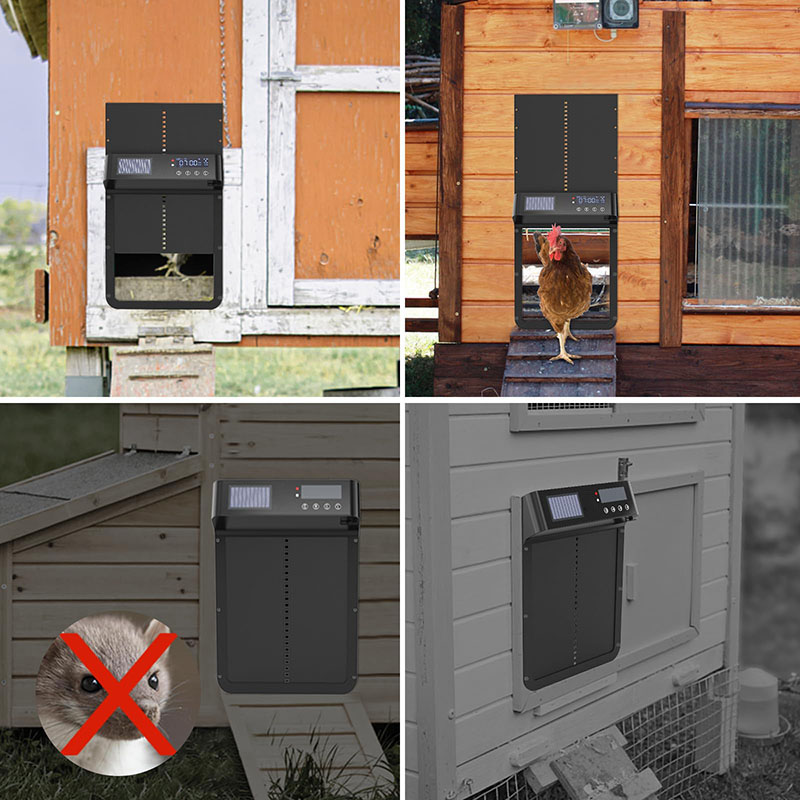 Автоматическая роскошная дверц – обзор и цена Automatic Chicken Door Opener Solar