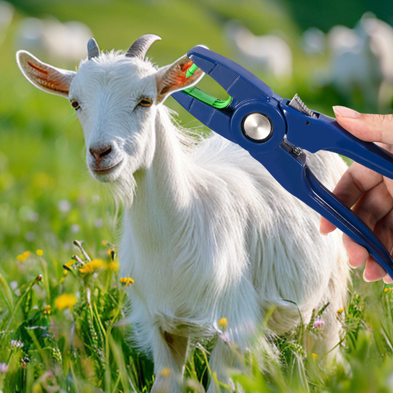 100 шт. встроенные ушные бирки – обзор и цена Cattle Ear Tag Applicator