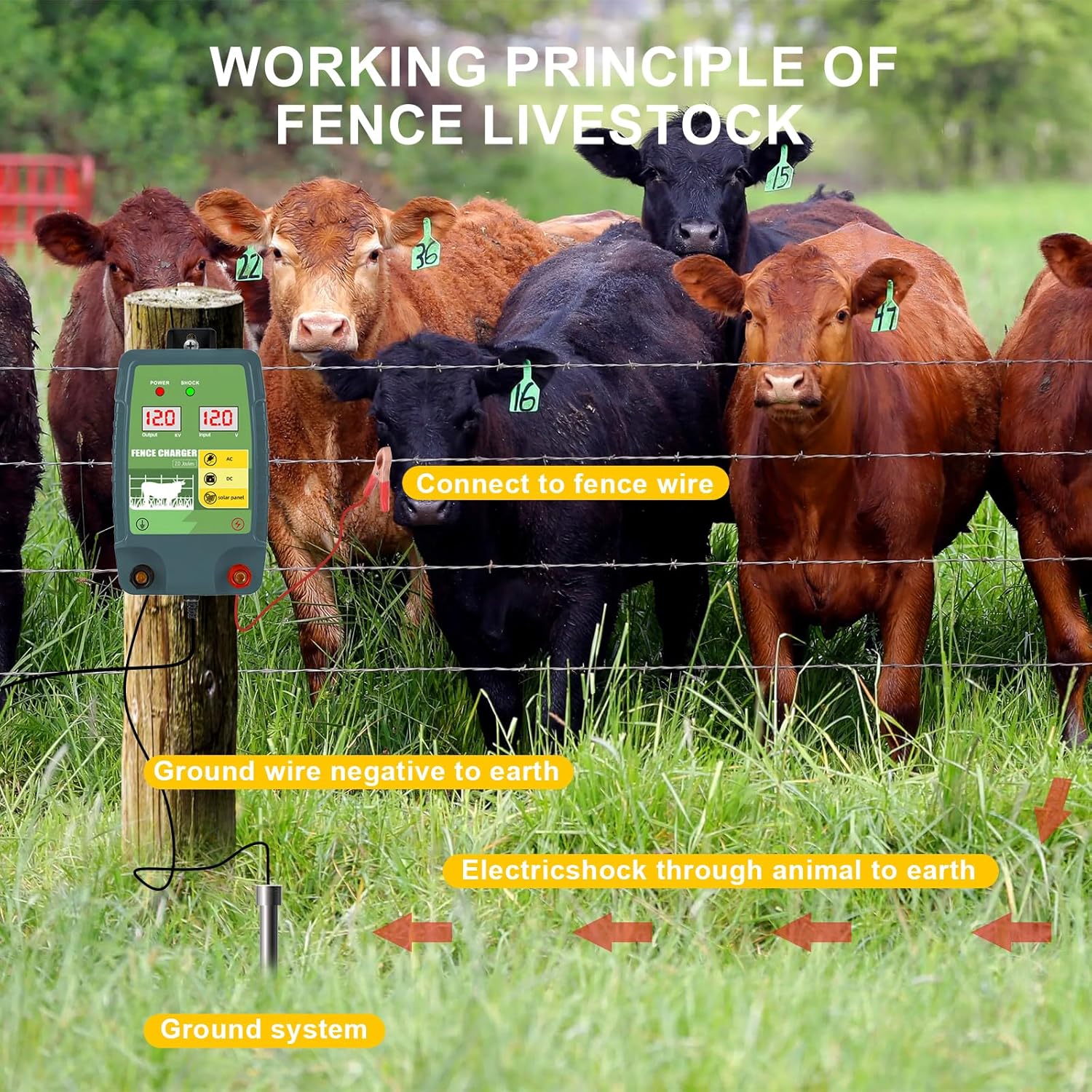 Электрический забор высокого н – обзор и цена Livestock Fence Energizer 12V