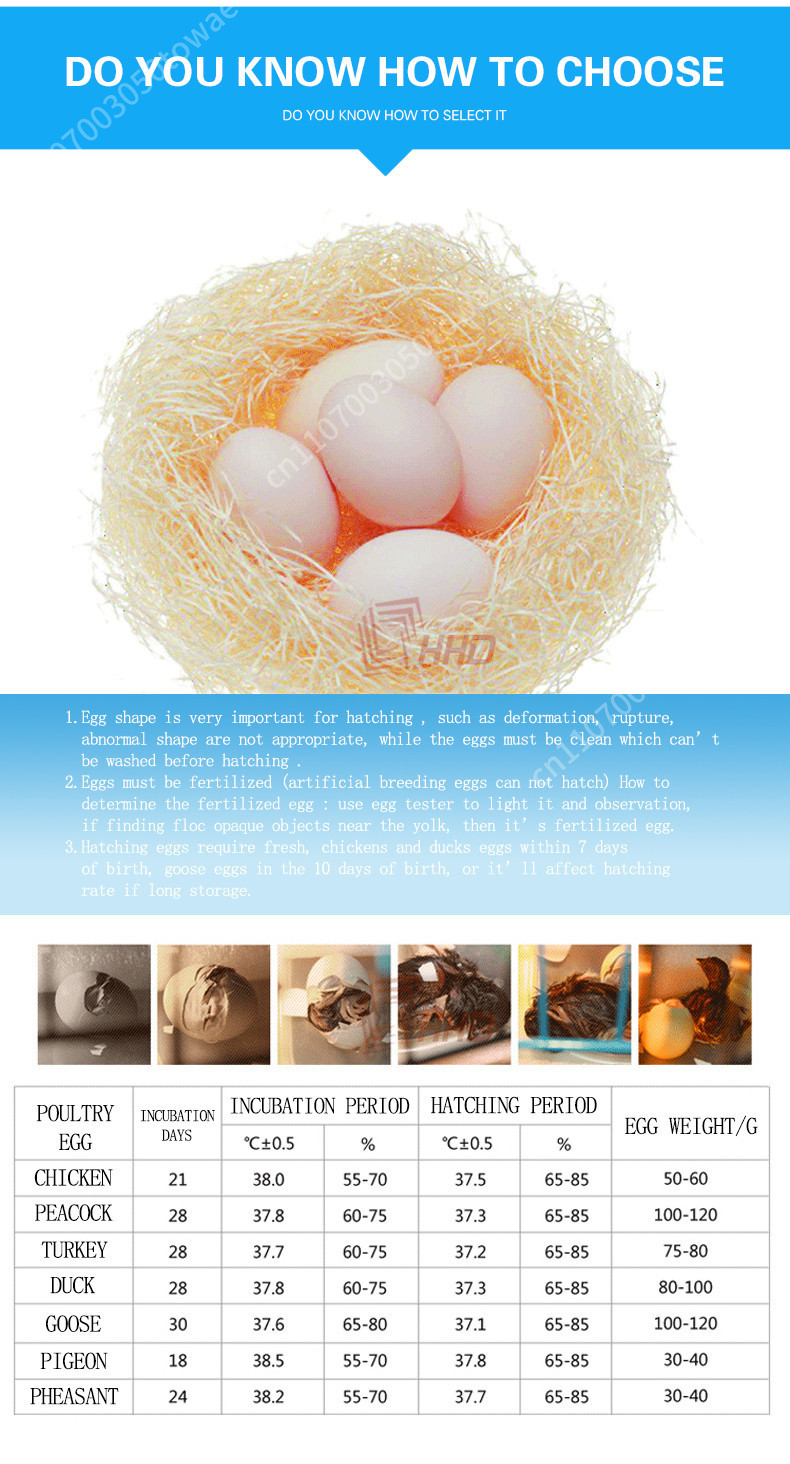 Автоматический инкубатор на 96 – обзор и цена Poultry Incubator 96 Eggs