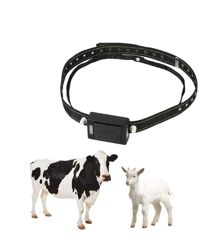 GPS-трекер для умного фермерст – обзор и цена Animal Gps Tracker 4G Solar