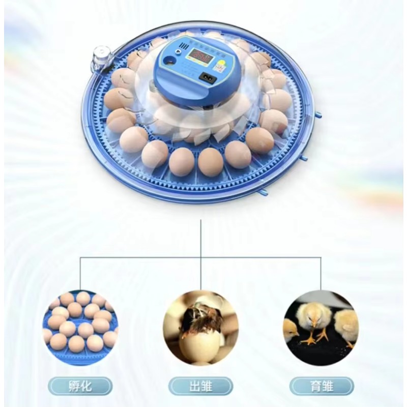 Инкубатор для яиц Qianqin на 2 – обзор и цена Poultry Incubator 96 Eggs