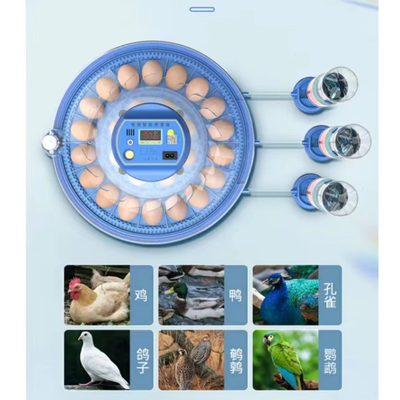 Инкубатор для яиц Qianqin на 2 – обзор и цена Poultry Incubator 96 Eggs