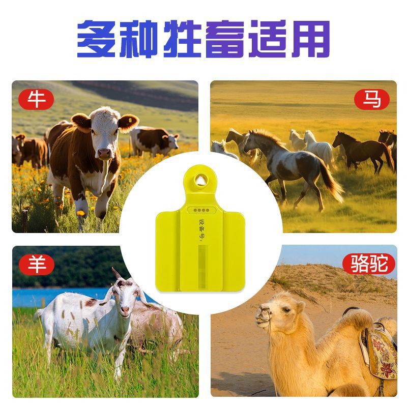 4G GPS-трекер для ушей животны – обзор и цена Livestock Ear Tag Gps Tracker