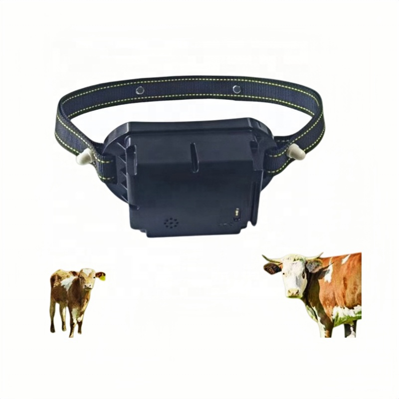 GPS-трекер для животных с ауди – обзор и цена Gps Tracker Cattle Collar
