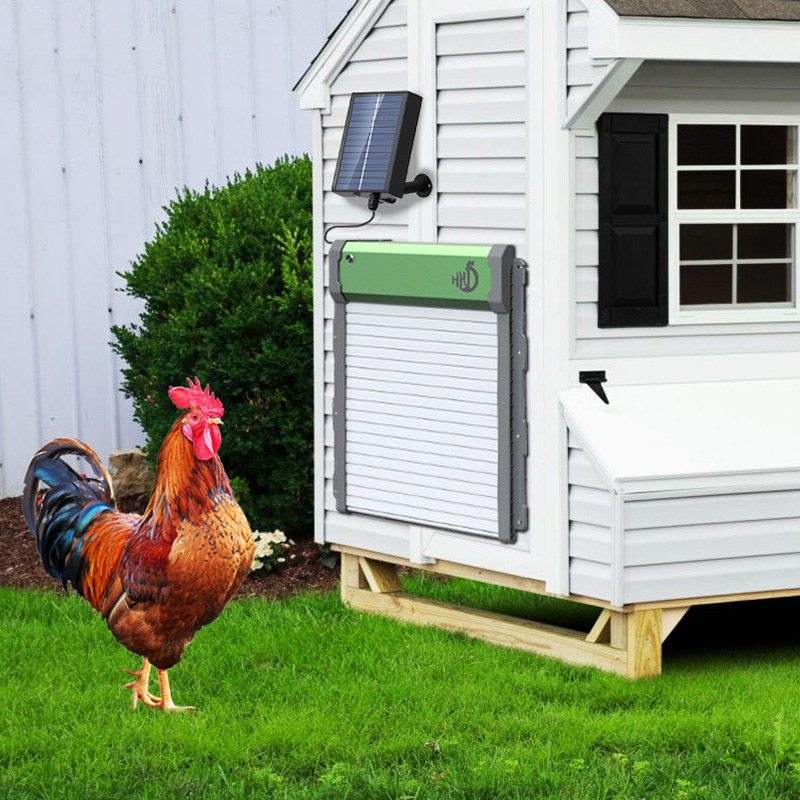 Автоматический открыватель две – обзор и цена Automatic Chicken Door Opener Solar