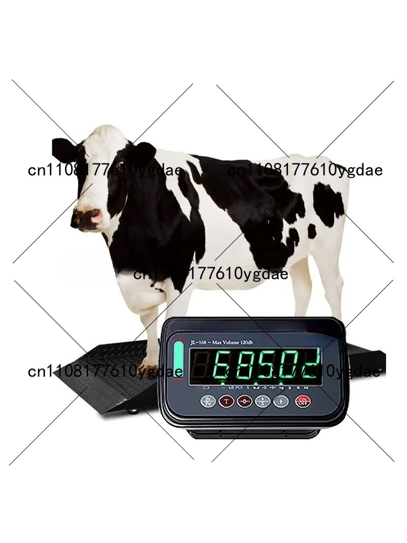 Цифровой весовой индикатор-кон – обзор и цена Cattle Weighing Scale Digital