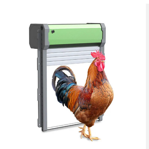 Автоматическая дверца для куря – обзор и цена Automatic Chicken Door Opener Solar
