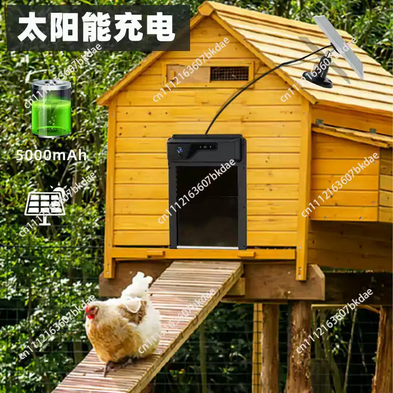 Автоматический дистанционно уп – обзор и цена Automatic Chicken Door Opener Solar
