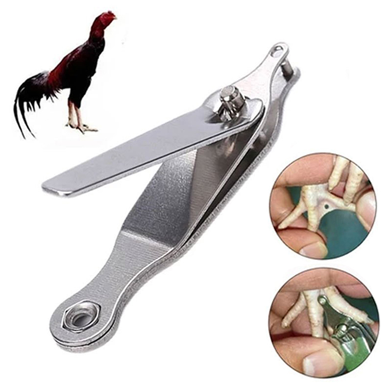 Инструмент для перфорации когт – обзор и цена Cattle Ear Tag Applicator