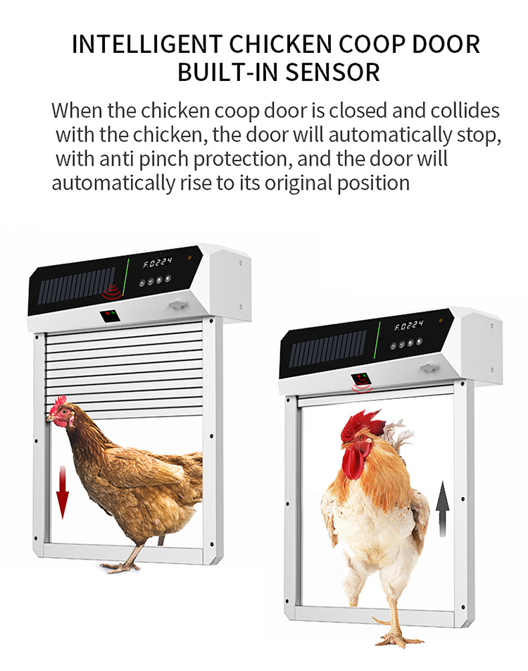 Автоматический открыватель две – обзор и цена Automatic Chicken Door Opener Solar