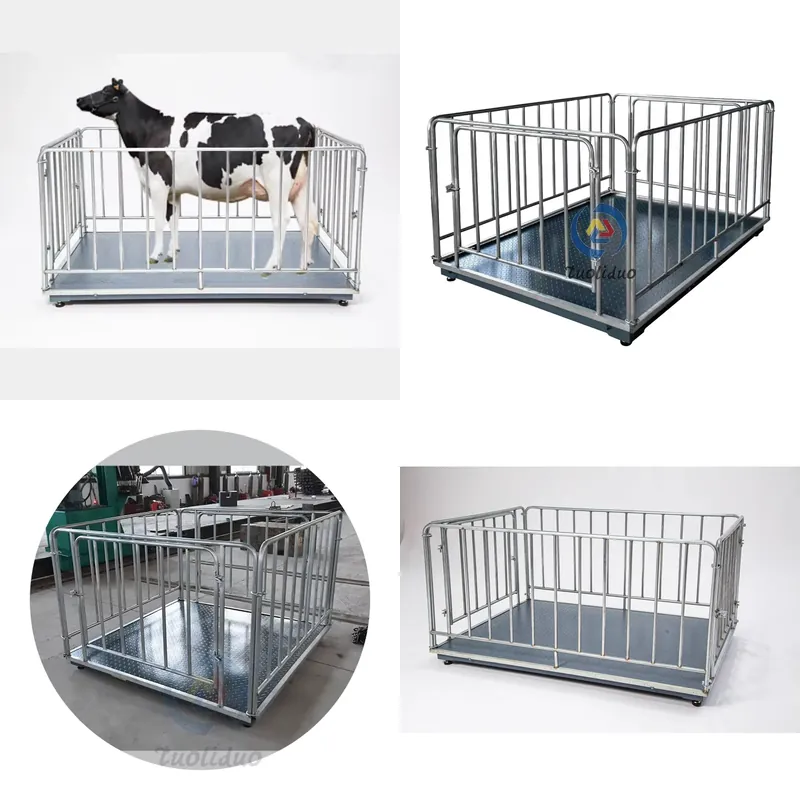 Цифровые весы для взвешивания  – обзор и цена Cattle Weighing Scale Digital