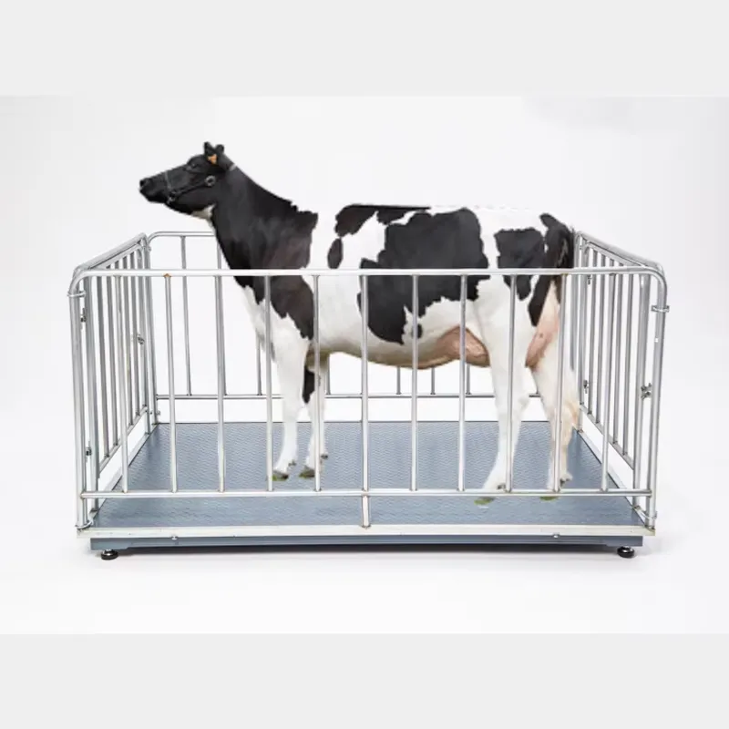 Цифровые весы для взвешивания  – обзор и цена Cattle Weighing Scale Digital