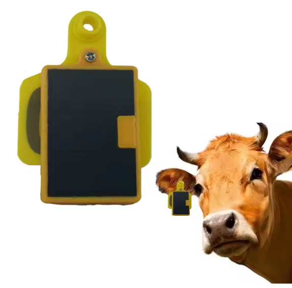 GPS-трекер для коров с зарядко – обзор и цена Livestock Ear Tag Gps Tracker