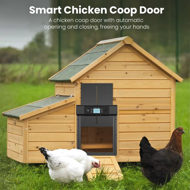 Умный автоматический современн – обзор и цена Automatic Chicken Door Opener Solar