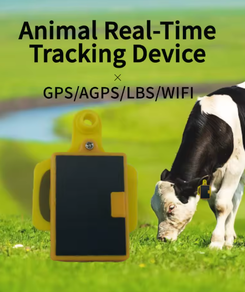 GPS-трекер Coofull для ушей ко – обзор и цена Livestock Ear Tag Gps Tracker